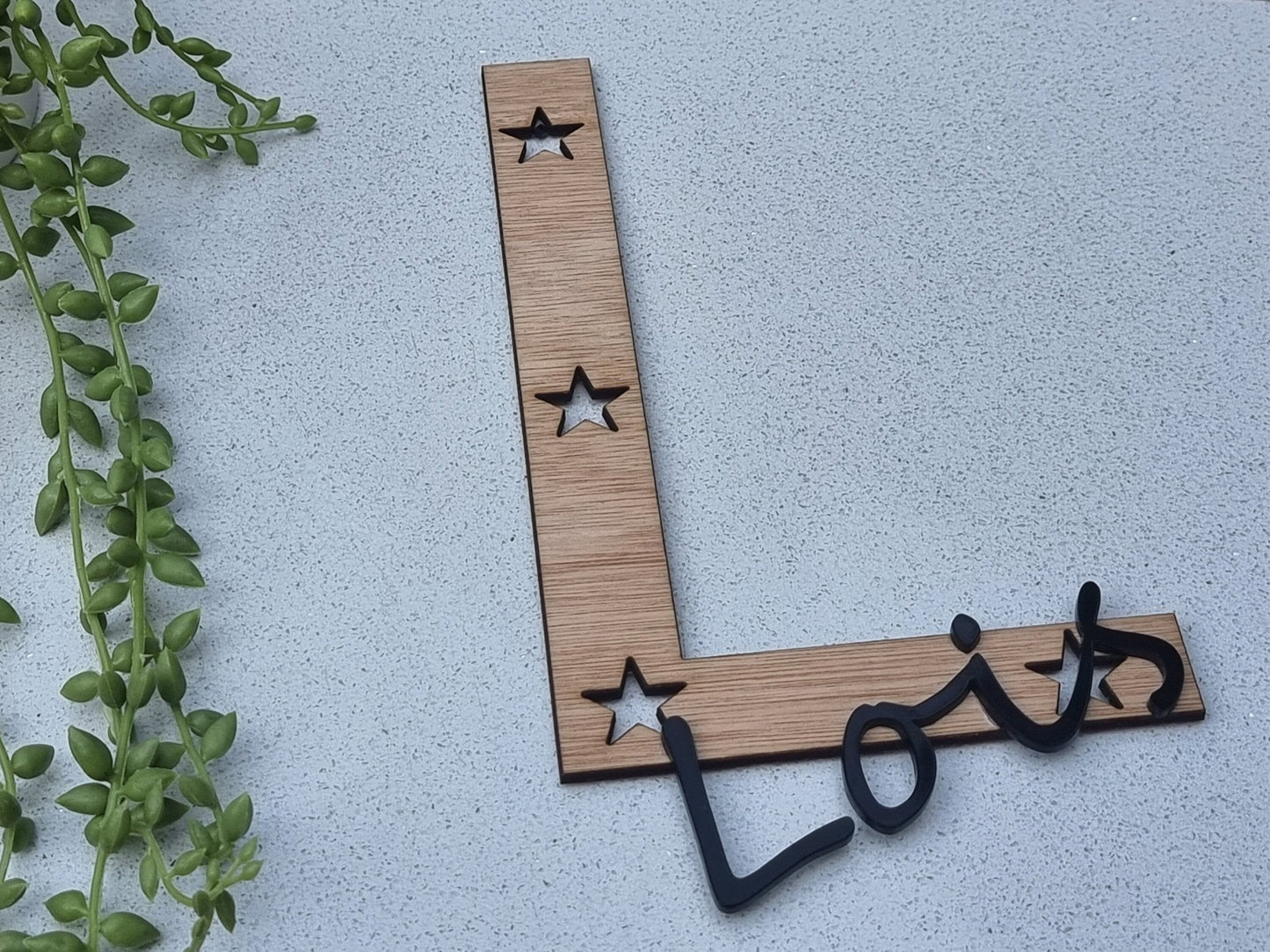 Letter - Personalised any Wooden Letter with any Name in acrylic - Plaque Sign Tag Name Plaque Name - Slice of Wild
