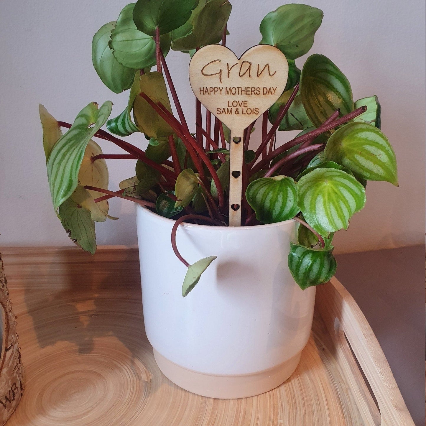 Wooden flower/plant marker - Slice of Wild