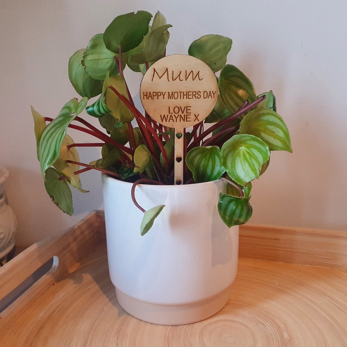 Wooden flower/plant marker - Slice of Wild