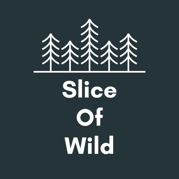 Slice of Wild