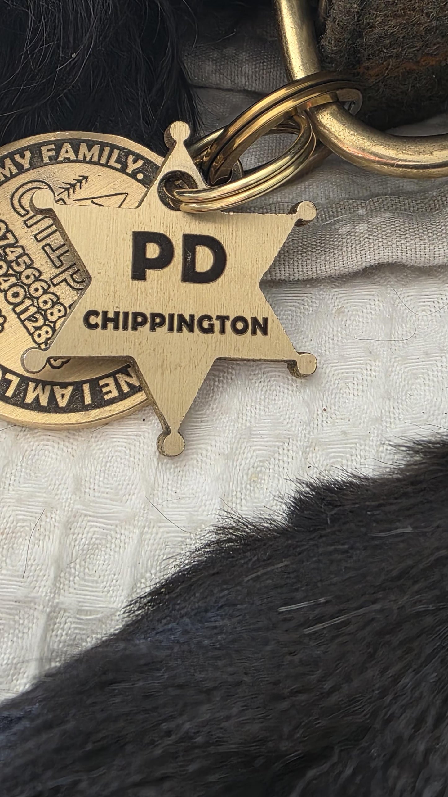 Engraved Sheriff Badge Solid Brass dog tag