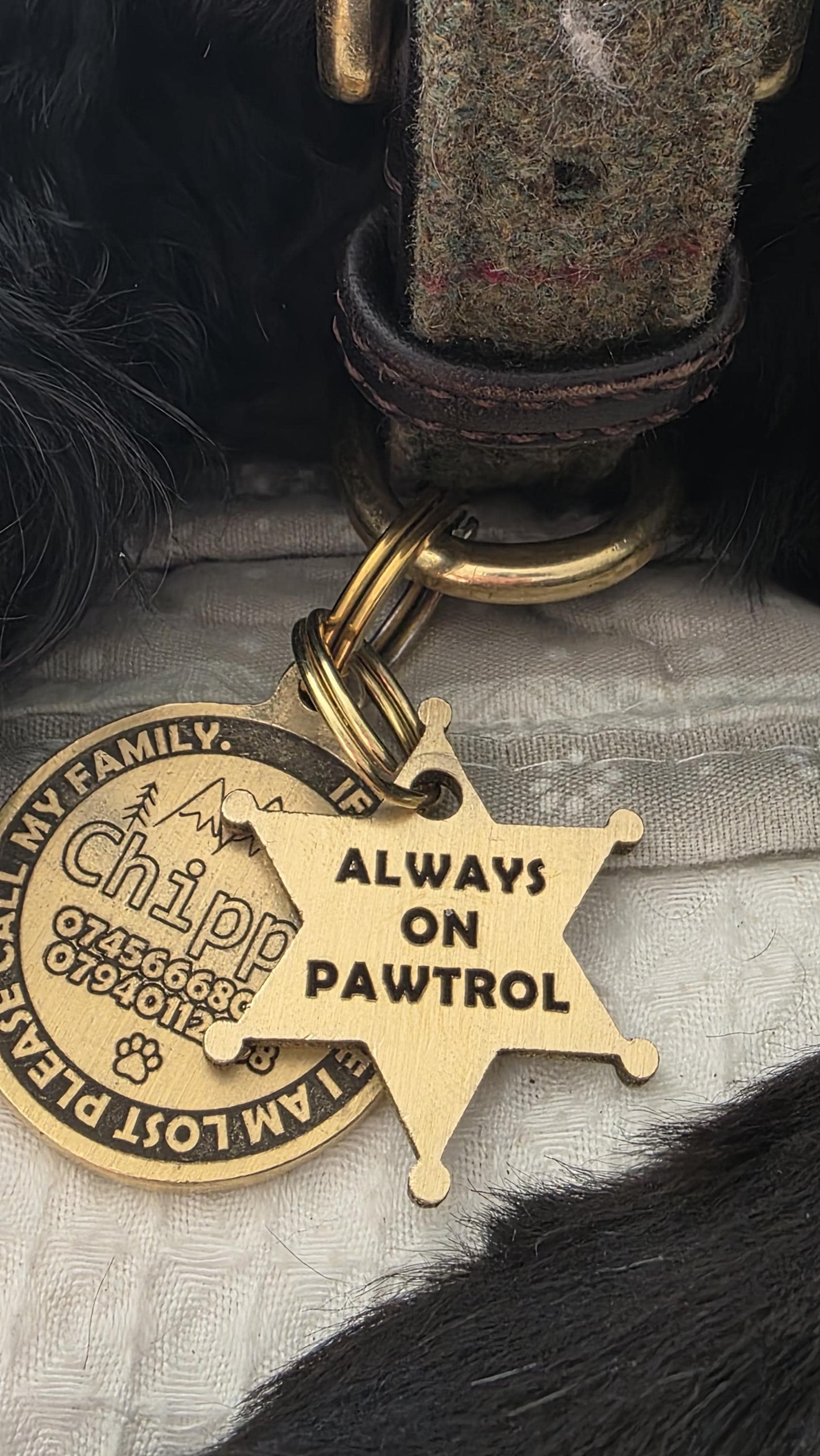 Engraved Sheriff Badge Solid Brass dog tag