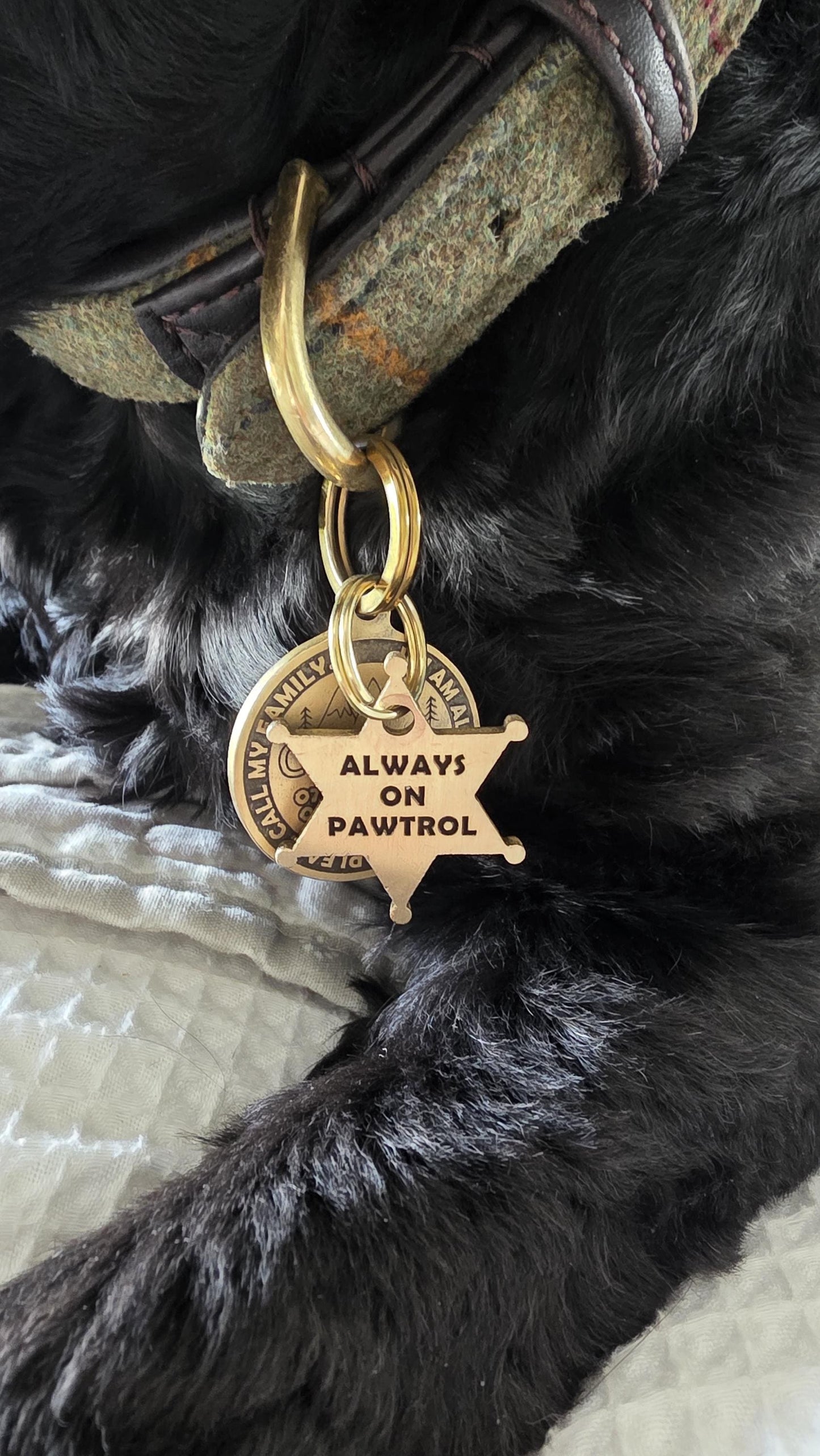 Engraved Sheriff Badge Solid Brass dog tag
