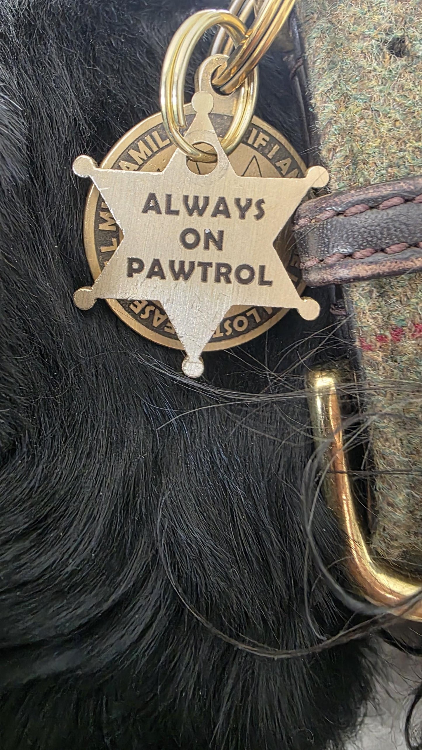 Engraved Sheriff Badge Solid Brass dog tag