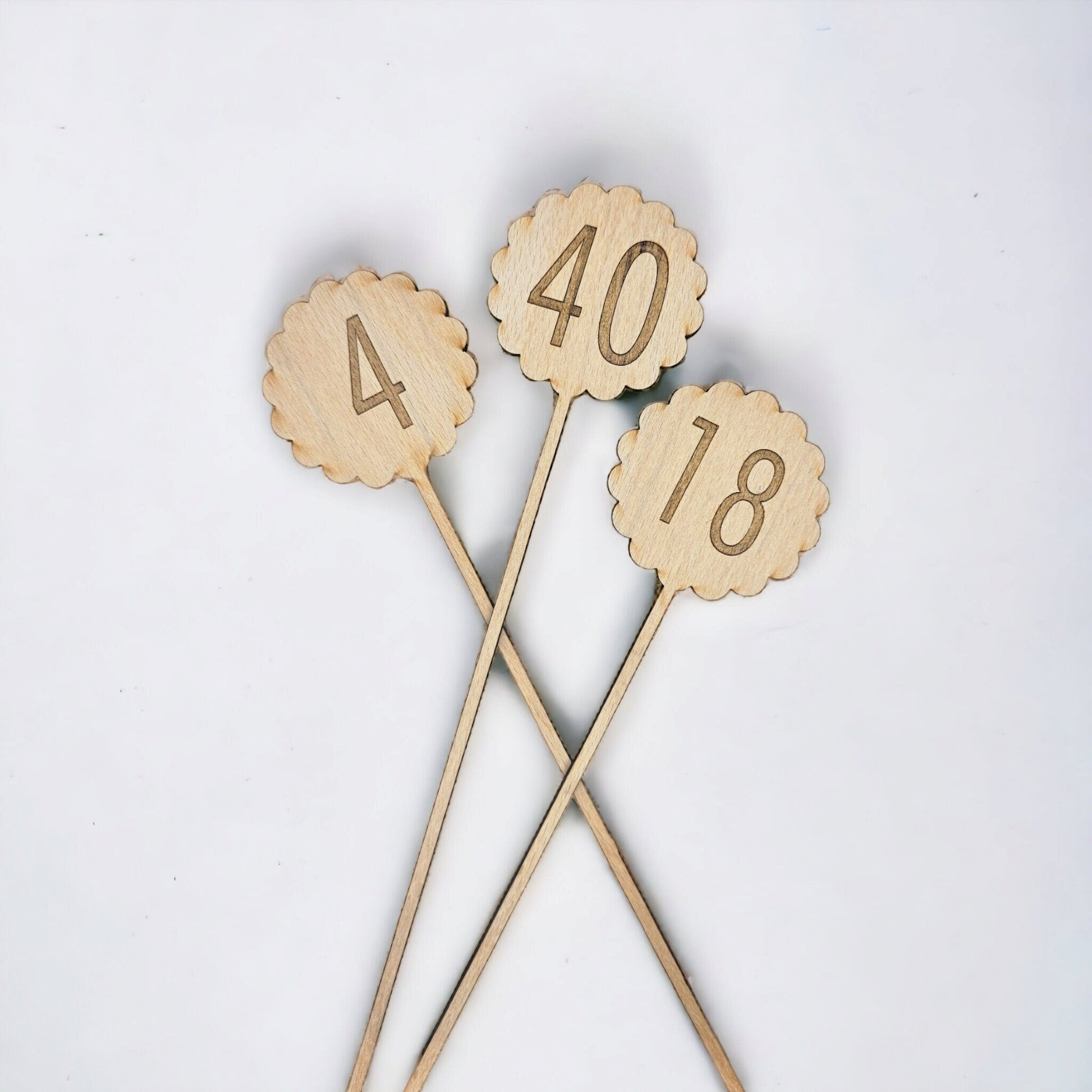 Cake Topper - Slice of Wild