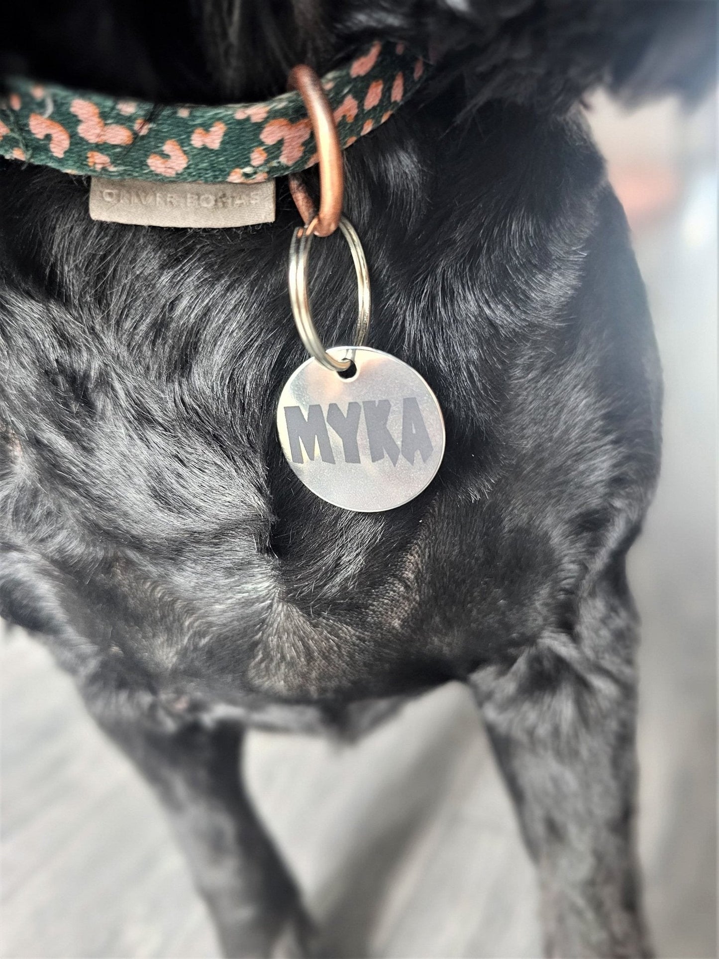 Dog or Cat Name Tag - Slice of Wild