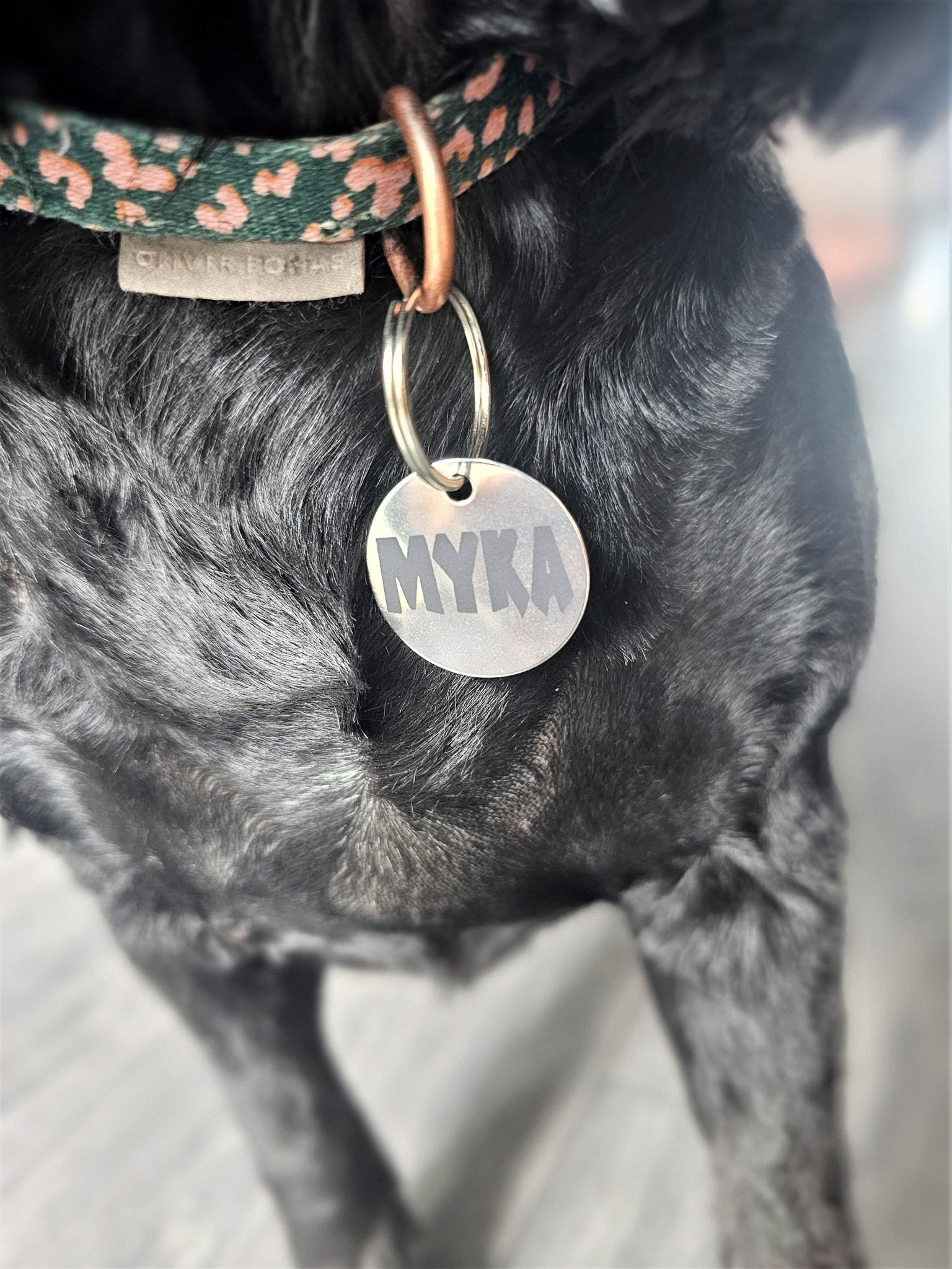 Dog or Cat Name Tag - Slice of Wild
